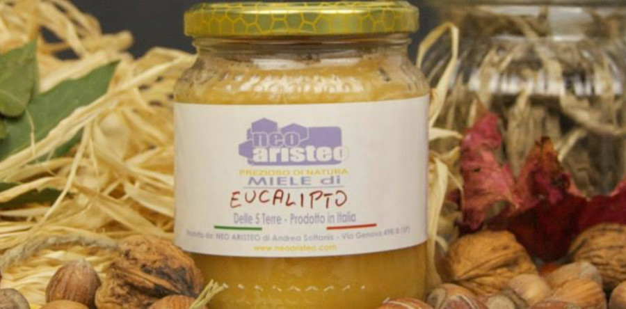 Miele di eucalipto